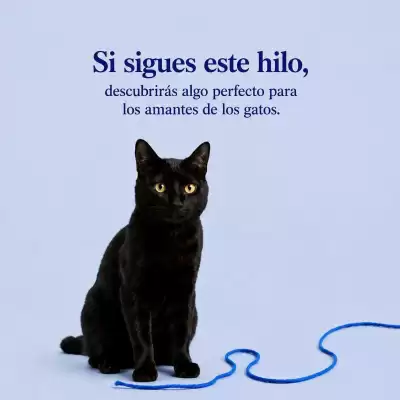 El Sótano (válido hasta 16-08)