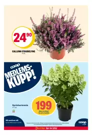 Coop Extra kundeavis uke 33 Side 29