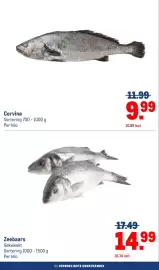 Makro folder Pagina 20