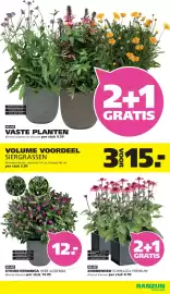 Ranzijn folder Pagina 17
