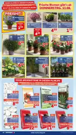 CENTERSHOP Prospekt woche 33 Seite 12