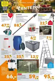 Globus Baumarkt Prospekt woche 33 Seite 5