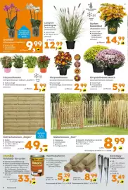 Globus Baumarkt Prospekt woche 33 Seite 6