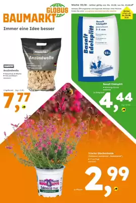 Globus Baumarkt (gültig bis 15-08)
