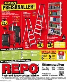 Repo Markt Prospekt woche 33 Seite 12