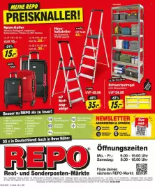 Repo Markt Prospekt woche 33 Seite 12