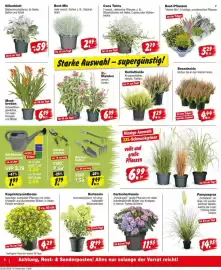 Repo Markt Prospekt woche 33 Seite 6