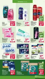 Wasgau Prospekt woche 33 Seite 23