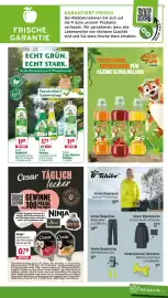 Wasgau Prospekt woche 33 Seite 25