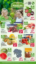 Wasgau Prospekt woche 33 Seite 6