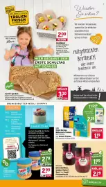 Wasgau Prospekt woche 33 Seite 9