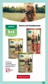 AVEVE folder Pagina 6