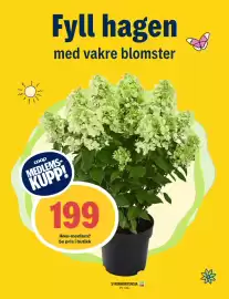 Coop Prix kundeavis uke 33 Side 12: SYRINHORTENSIA, Medlemspris