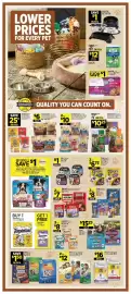 Dollar General weekly ad week 33 Page 10