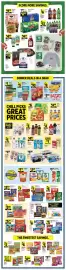 Dollar General weekly ad week 33 Page 3