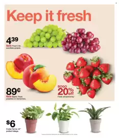 Target weekly ad week 33 Page 43
