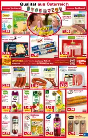 Norma Prospekt woche 34 Seite 11