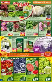 Norma Prospekt woche 34 Seite 12