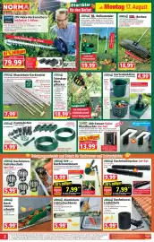 Norma Prospekt woche 34 Seite 2