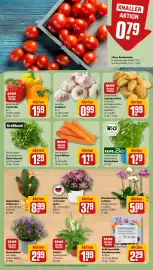 REWE Prospekt woche 33 Seite 5