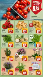 REWE Prospekt woche 33 Seite 5