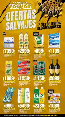 Yaguar (válido hasta 16-08)