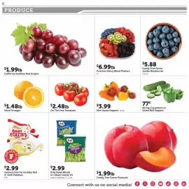 Fareway weekly ad week 33 Page 8
