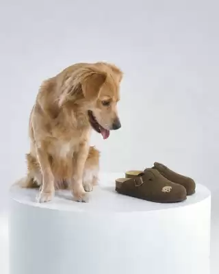 Hush Puppies (válido hasta 10-08)