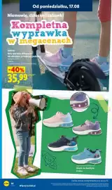 Lidl gazetka tydzień 34 Strona 10