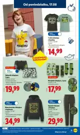 Lidl gazetka tydzień 34 Strona 13