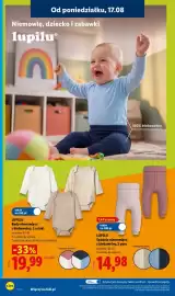 Lidl gazetka tydzień 34 Strona 18