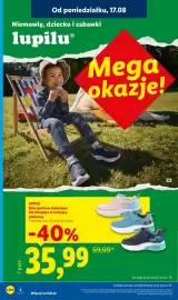 Lidl gazetka tydzień 34 Strona 2
