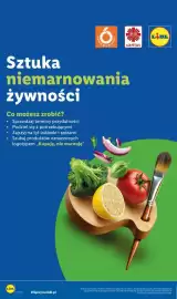 Lidl gazetka tydzień 34 Strona 60