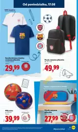 Lidl gazetka tydzień 34 Strona 9