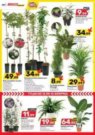 Bricomarche gazetka Strona 10
