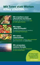 Lidl Flugblatt woche 33 Seite 49