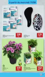Catalogue ALDI semaine 34 page 35: GARDENLINE VIVACE MELLIFÈRE €2,49, GARDENLINE MARGUERITE D'ÉTÉ €1,79