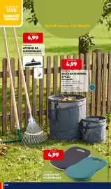 ALDI (valido fino al 23-08)