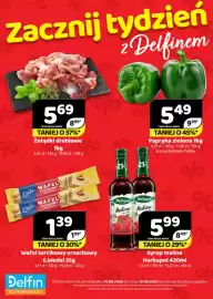 Delfin gazetka Strona 1
