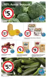 Coles catalogue week 33 Page 17