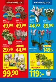 Lidl reklamblad vecka 34 Sida 21