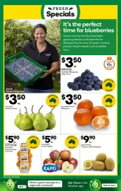 Woolworths catalogue week 33 Page 13