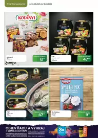 Tamda Foods leták týden 33 Strana 42
