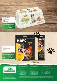 Tamda Foods leták týden 33 Strana 60