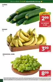 Stokrotka gazetka Strona 2
