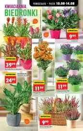 Biedronka gazetka tydzień 33 Strona 32