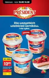 Biedronka gazetka tydzień 33 Strona 53
