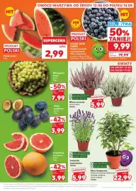 Kaufland gazetka tydzień 33 Strona 5: Arbuz polski €2,99, Śliwki podłużne luzem €3,99