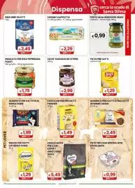 Volantino Gala Supermercati Pagina 24: Ceci Italiani Valfrutta €2,29, Crocchette per cani expert amico mio €5,49