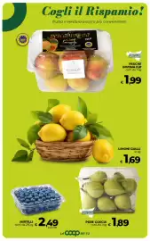 Volantino Ipercoop Radenza Pagina 31: Limoni gialli €1,69, Pere Coscia €1,89